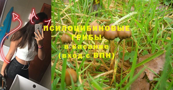 МДПВ Абаза
