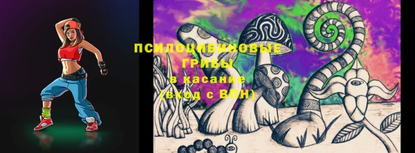 МДПВ Абаза