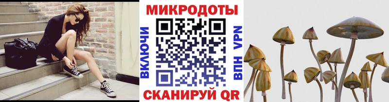 Псилоцибиновые грибы мицелий  Сухиничи 